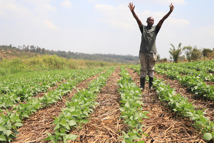 Image of farmer in Uganda