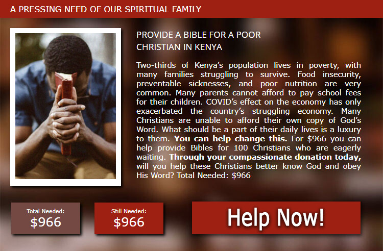 Contribute to the Strategic Bibles Ministry