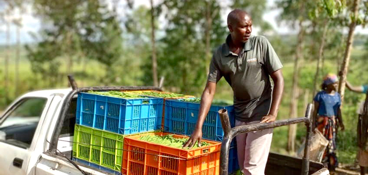 Image of Farming God's Way trainer in Zimbabwe